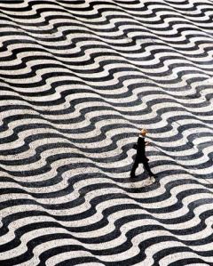 Foto Danuta Hyniewska