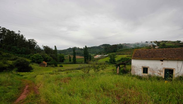 De quinta met uitzicht over de vallei